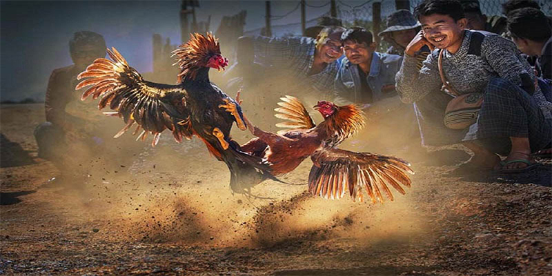 g088 chơi bắn cá đổi thưởng
