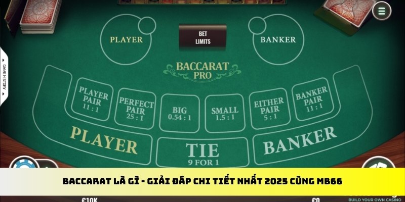g088 gà chọi cu cần