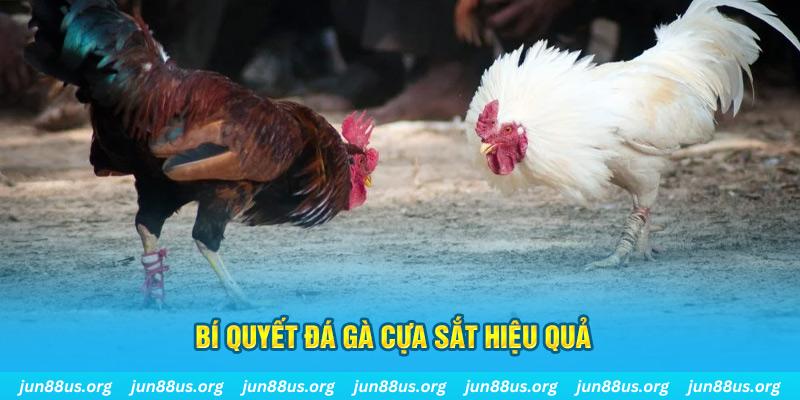g088 xin 1 slot là gì
