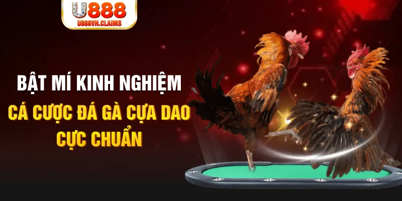 g088 tỷ lệ cá cược châu á là gì