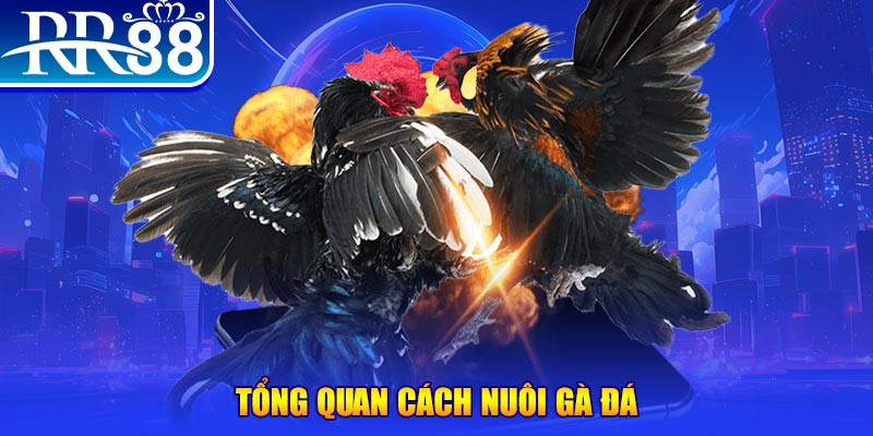 g088 VA Điện Tử