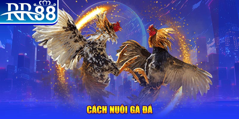 g088 xổ số an giang