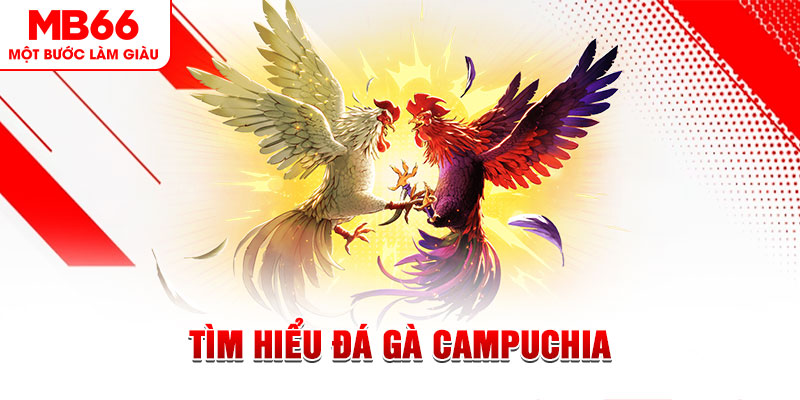 g088 đá gà trực tiếp