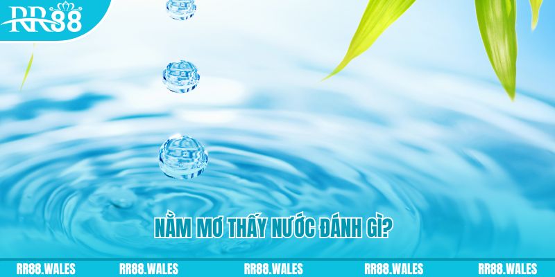g088 TP Bắn cá