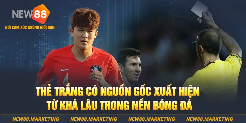 g088 xổ số hồ chí minh