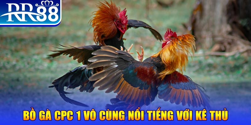 g088 game máy bay nổ hũ