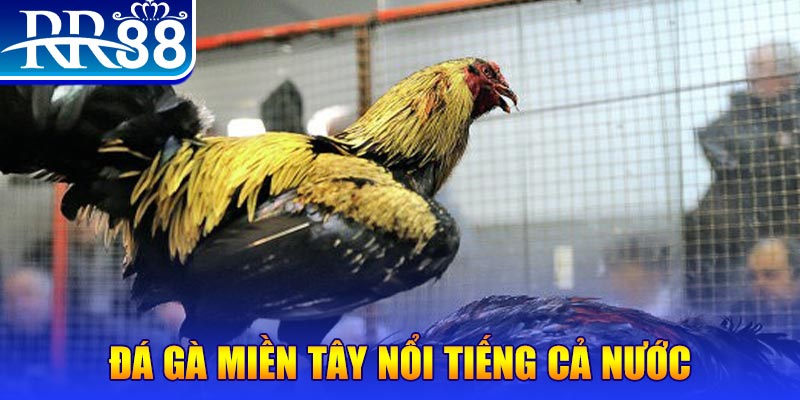 g088 JILI Game Bài 3d