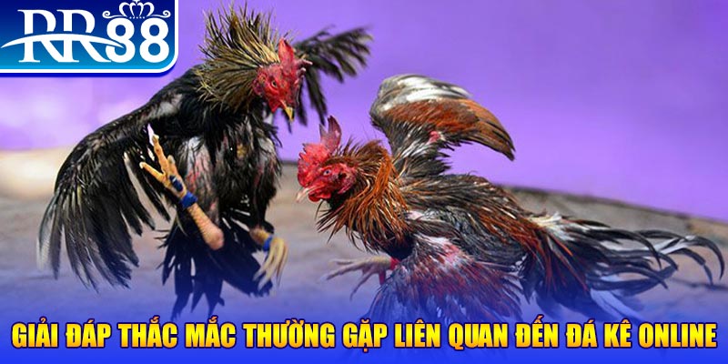 g088 xổ số đà lạt