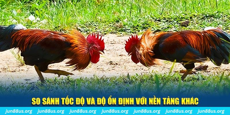 g088 đá gà hôm nay