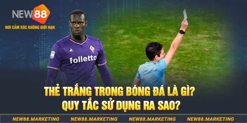 g088 gà chọi mộc hóa