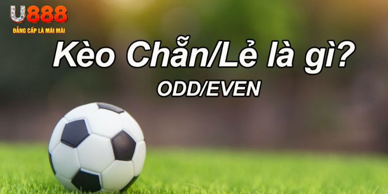 g088 đăng nhập poker hôm nay