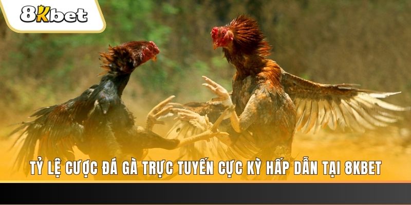 g088 xổ số trực tiếp miền bắc