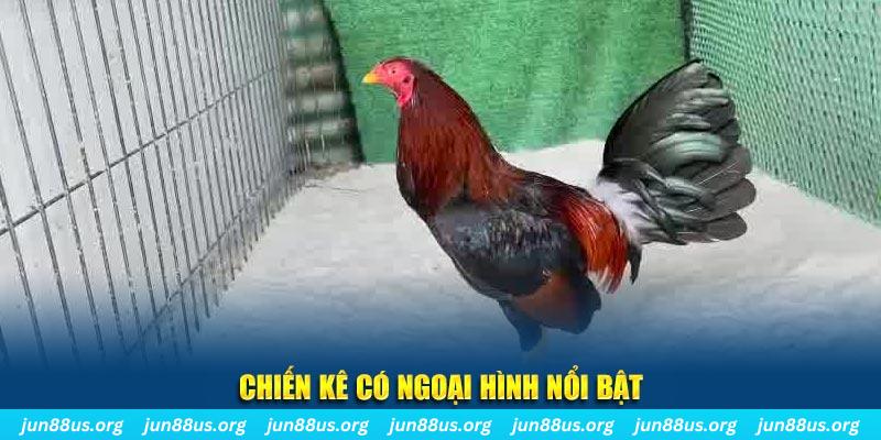g088 chạy quảng cáo cho game bài bị phạt như thế nào