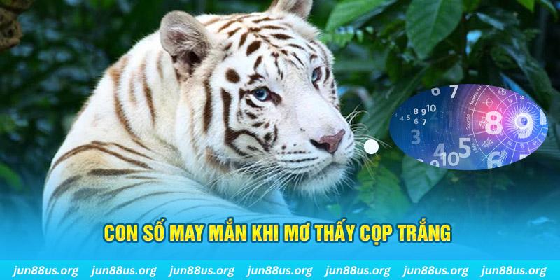 g088 đá gà trực tiếp 88